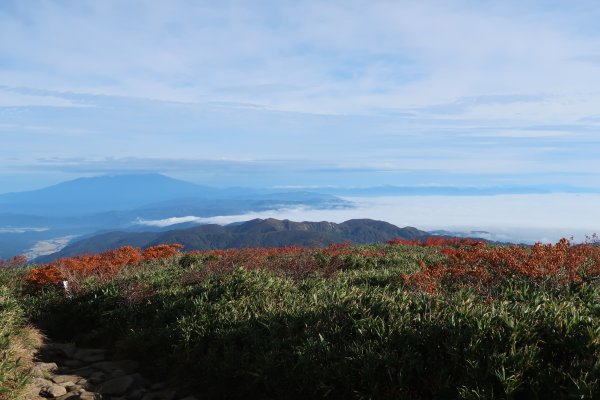 鳥海山と雲海