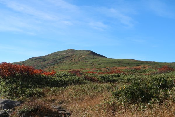 視界が開けて山頂方向が見える