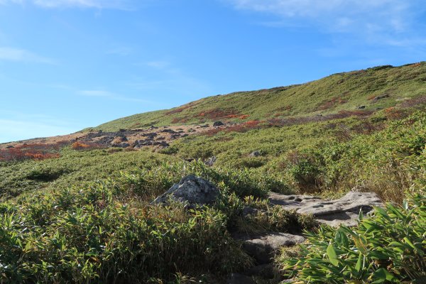 登山道