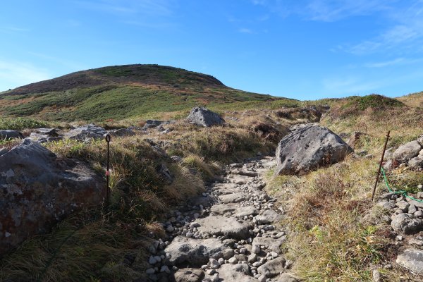 整備された登山道