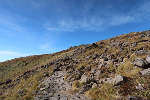 整備された登山道