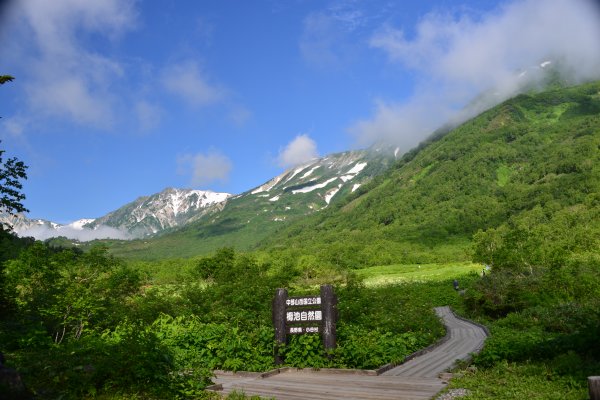 ミズバショウ湿原(1)