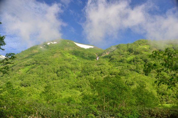 ミズバショウ湿原(5)