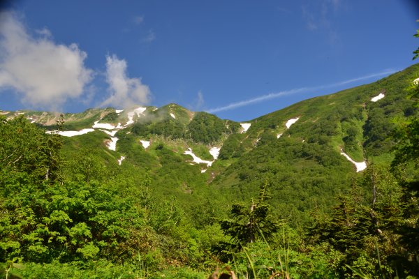 アルプスの山々