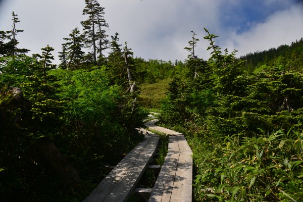 浮島湿原(2)