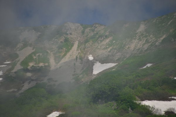 浮島湿原(7)