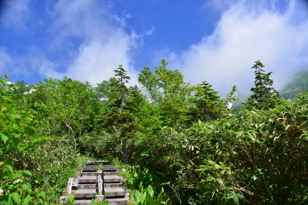 モウセン池手前の登り