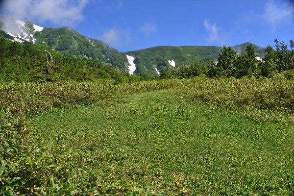 展望湿原はもうすぐ