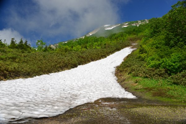 展望湿原手前の雪渓