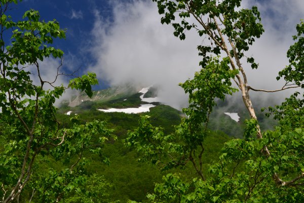 浮島湿原の手前