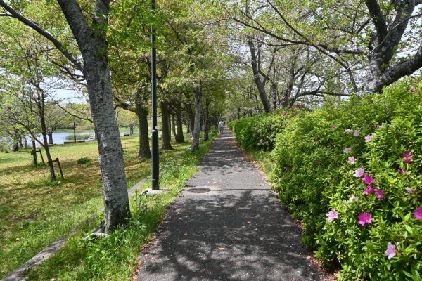 岩田運動公園(1)