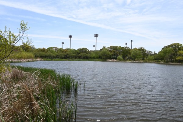岩田運動公園(3)：水神池