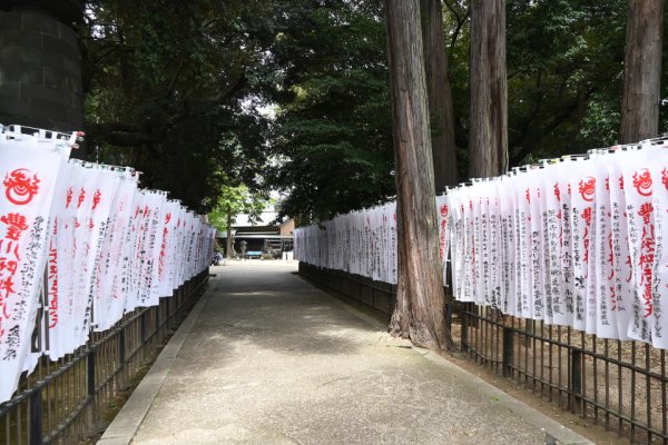 豊川稲荷：千本幟