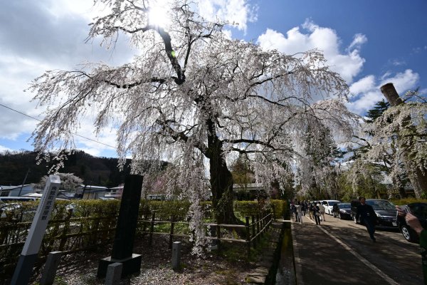 角館(1)：武家屋敷通り