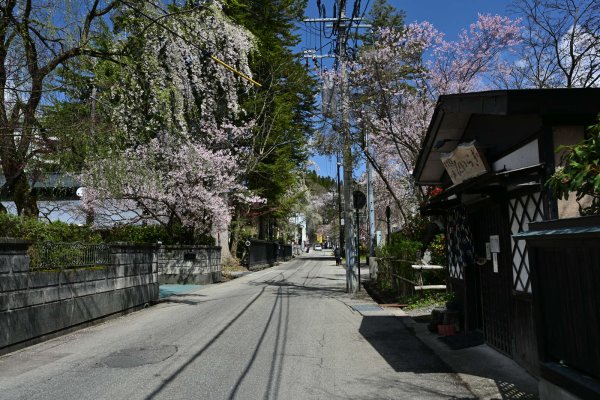 角館(7)：田町武家屋敷通り