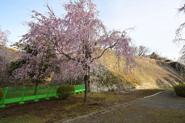 盛岡城址(2)