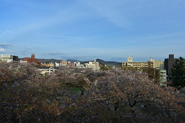 盛岡城址(4)