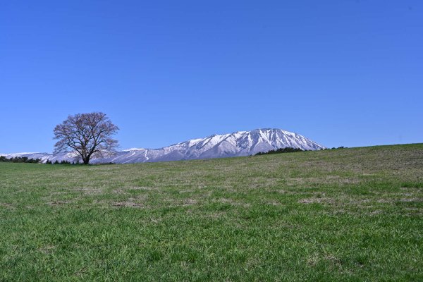 小岩井農場(2)