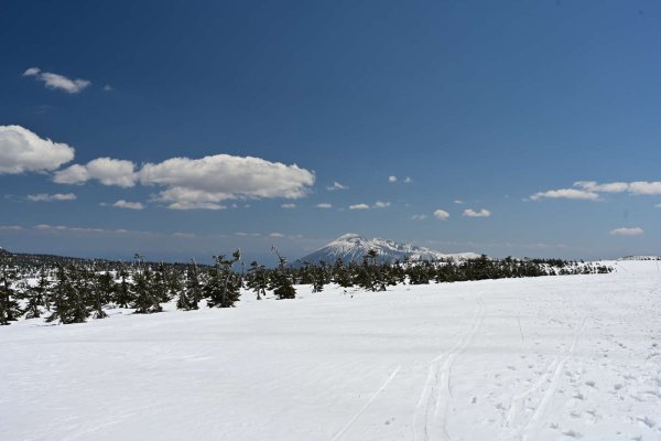 八幡平(14)