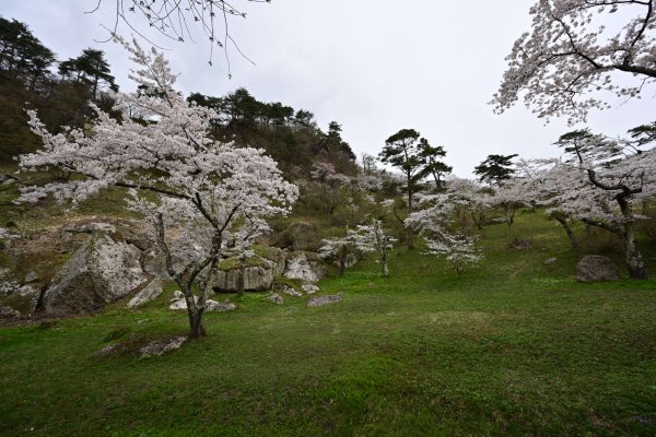 きみまち坂公園(2)