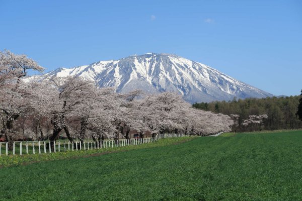 小岩井農場(1)