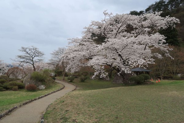 きみまち坂公園(3)