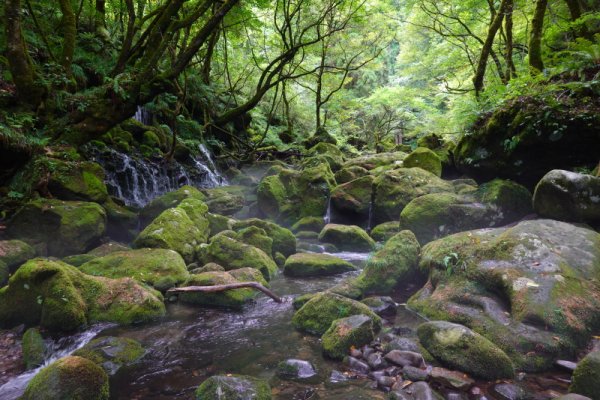 元滝伏流水(6)