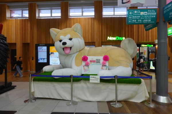 秋田駅の「あきたいぬ」