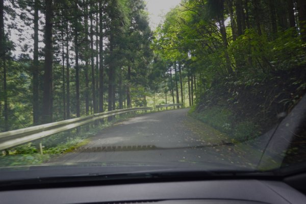 国道341号