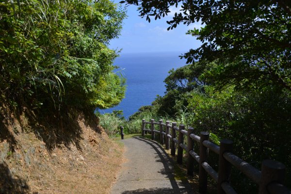 嶺山公園(3)