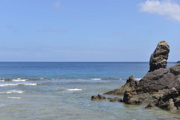 奄美の海岸(8)