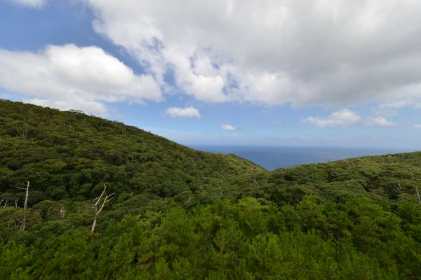 奄美の海岸(10)