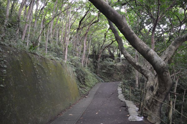 おがみ山公園(1)