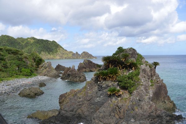 奄美の海岸(14)：鯨浜