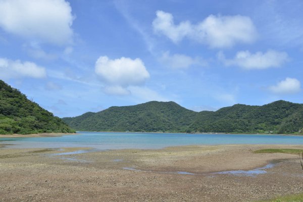 奄美の海岸(15)