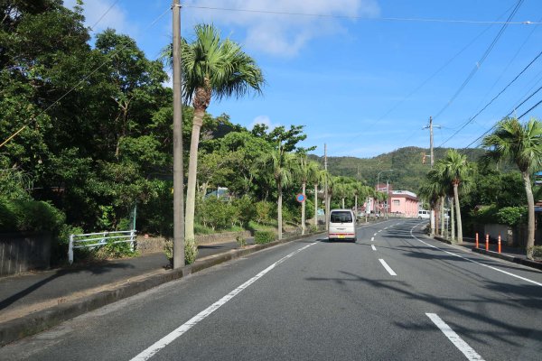 名瀬から西に行く道路