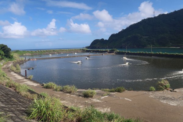 エビ養殖場