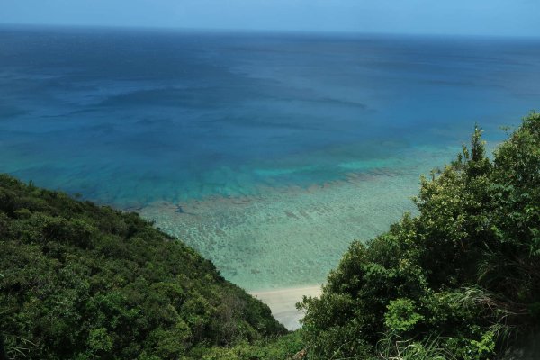 奄美の海岸(12)