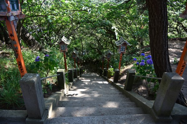 高山稲荷神社(6)