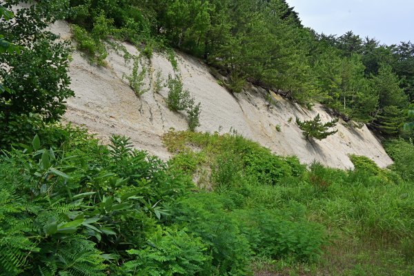 舞土層・赤石層