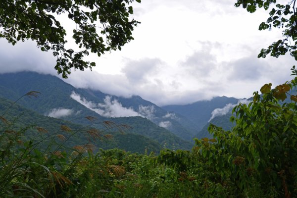 白神ライン：一ッ森峠