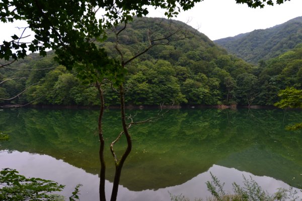 十二湖散策：鶏頭場ノ池