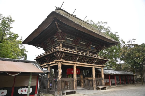 青井阿蘇神社(6)