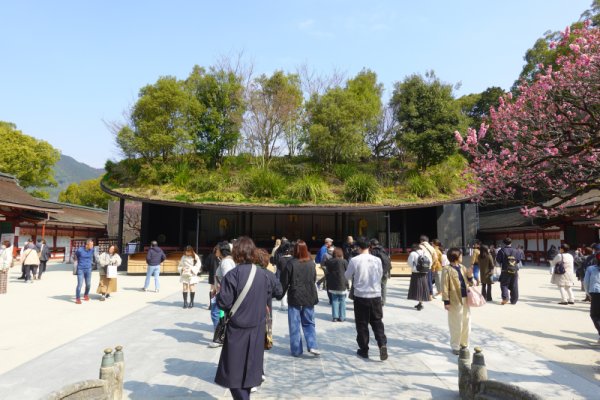 大宰府天満宮：御仮殿