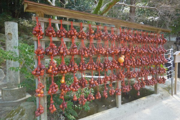 大宰府天満宮：厄晴れひょうたん