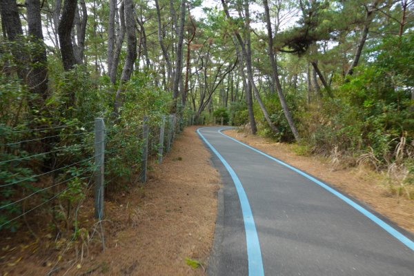 サイクリングロード