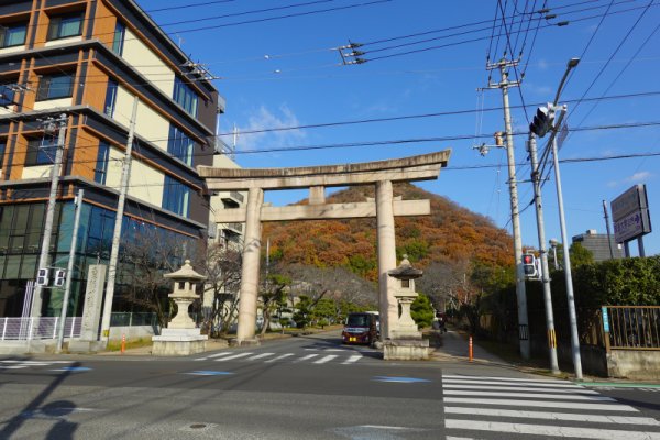 愛媛県護国神社：大鳥居