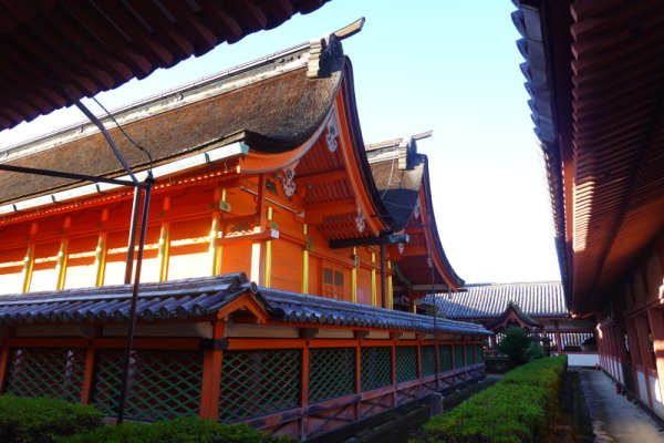 伊佐爾波神社の社殿
