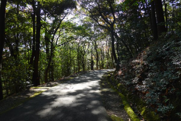 二の丸への下り