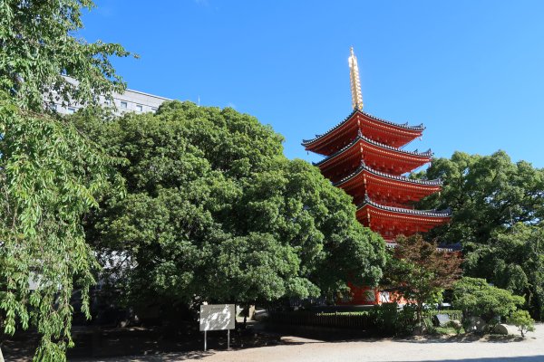 東長寺(4)：五重の塔